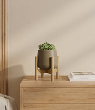 Load image into Gallery viewer, Olive stand:bamboo