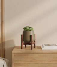 Load image into Gallery viewer, Olive stand:walnut