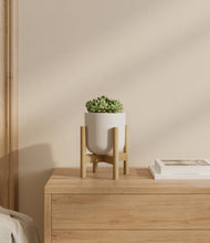 Load image into Gallery viewer, Natural Bamboo stand:bamboo