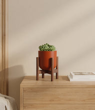 Load image into Gallery viewer, Earth Red stand:walnut