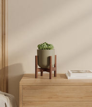 Load image into Gallery viewer, Sage Green stand:walnut