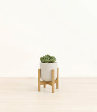 Load image into Gallery viewer, Natural Bamboo stand:bamboo