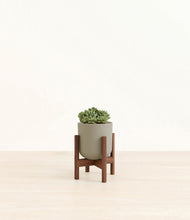Load image into Gallery viewer, Sage Green stand:walnut