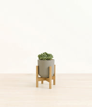 Load image into Gallery viewer, Sage Green stand:bamboo