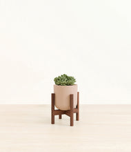 Load image into Gallery viewer, Sandy Pink stand:walnut