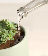 Load image into Gallery viewer, Turquoise stand:all