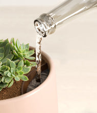 Load image into Gallery viewer, Gentle Pink stand:all