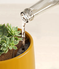 Load image into Gallery viewer, Mustard stand:all