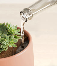 Load image into Gallery viewer, Calm Rose stand:all