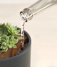 Load image into Gallery viewer, Iron Gray stand:all