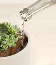 Load image into Gallery viewer, Cotton White stand:all