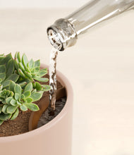 Load image into Gallery viewer, Sandy Pink stand:all