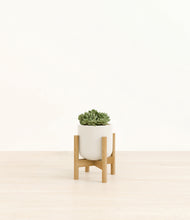 Load image into Gallery viewer, Cotton White stand:bamboo