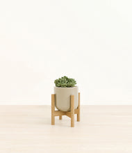 Load image into Gallery viewer, Sage Green stand:bamboo