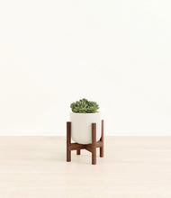 Load image into Gallery viewer, Cotton White stand:walnut