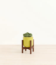 Load image into Gallery viewer, Key Lime Yellow stand:walnut