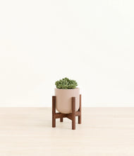 Load image into Gallery viewer, Sandy Pink stand:walnut