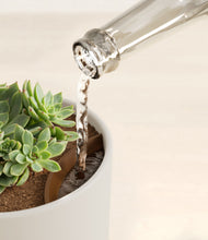 Load image into Gallery viewer, Natural Bamboo stand:all