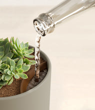 Load image into Gallery viewer, Sage Green stand:all