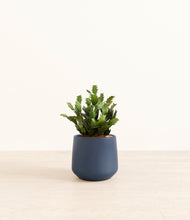 Load image into Gallery viewer, Deep Navy