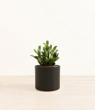 Load image into Gallery viewer, Black