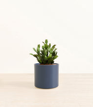 Load image into Gallery viewer, Deep Navy