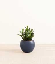 Load image into Gallery viewer, Deep Navy