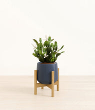 Load image into Gallery viewer, Deep Navy stand:bamboo
