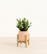 Load image into Gallery viewer, Gentle Pink stand:bamboo