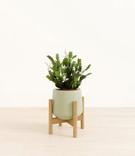 Load image into Gallery viewer, Turquoise stand:bamboo