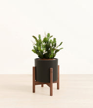 Load image into Gallery viewer, Black stand:walnut