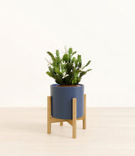 Load image into Gallery viewer, Deep Navy stand:bamboo