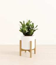 Load image into Gallery viewer, White stand:bamboo