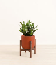 Load image into Gallery viewer, -