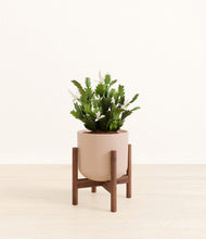 Load image into Gallery viewer, -