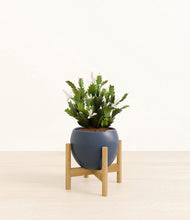 Load image into Gallery viewer, Deep Navy stand:bamboo