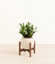 Load image into Gallery viewer, Shiny EggWhite stand:walnut