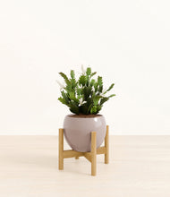 Load image into Gallery viewer, Winter Clouds stand:bamboo