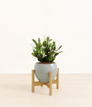 Load image into Gallery viewer, Deep Ocean stand:bamboo