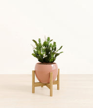 Load image into Gallery viewer, Calm Rose stand:bamboo