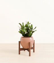 Load image into Gallery viewer, Calm Rose stand:walnut