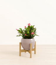 Load image into Gallery viewer, Winter Clouds stand:bamboo