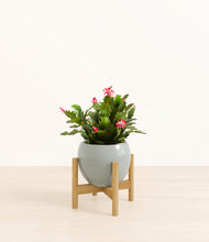 Load image into Gallery viewer, Deep Ocean stand:bamboo