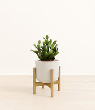 Load image into Gallery viewer, Natural Bamboo stand:bamboo