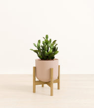 Load image into Gallery viewer, Sandy Pink stand:bamboo
