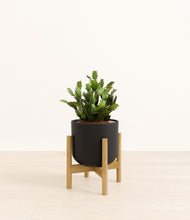 Load image into Gallery viewer, Stone Black stand:bamboo