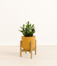 Load image into Gallery viewer, Sunset Orange stand:bamboo