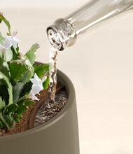 Load image into Gallery viewer, Olive stand:all