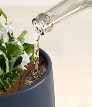 Load image into Gallery viewer, Deep Navy stand:all