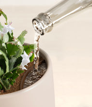 Load image into Gallery viewer, Eternal Gray stand:all